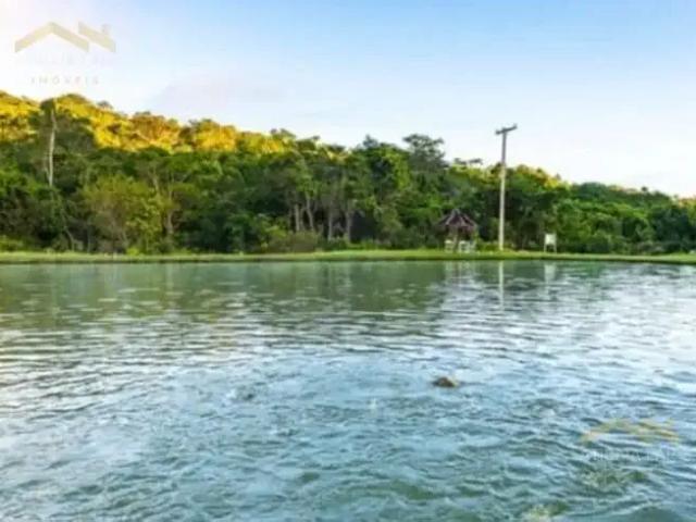 Fazenda venda em Região Geográfica Imediata do Distrito Federal, Região Integrada de Desenvolvimento do Distrito Federal e Entorno