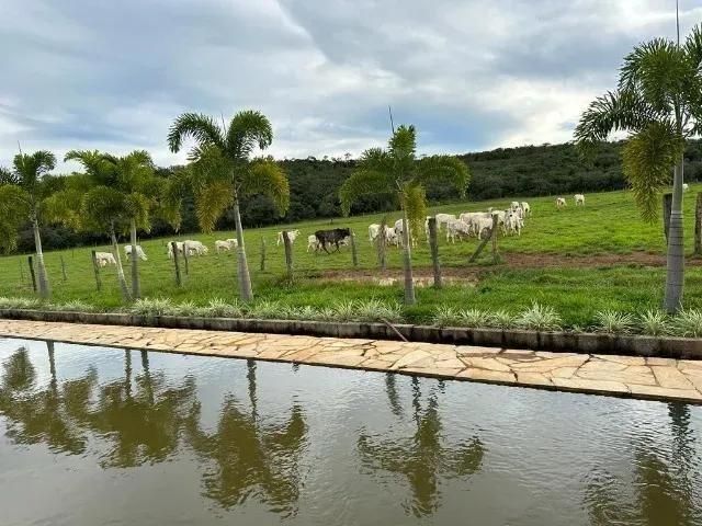 Fazenda venda em Região Geográfica Imediata do Distrito Federal, Região Integrada de Desenvolvimento do Distrito Federal e Entorno