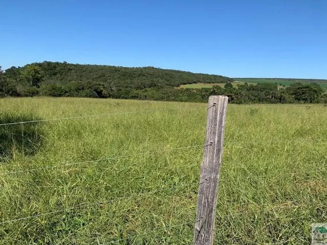 Fazenda venda em Região Geográfica Imediata do Distrito Federal, Região Integrada de Desenvolvimento do Distrito Federal e Entorno