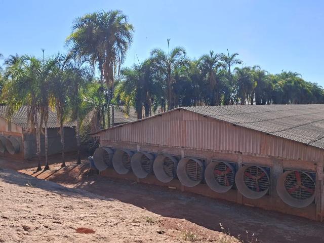Fazenda venda em Agrovila Taquara, Planaltina