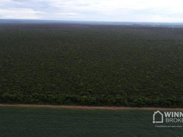 Sítio e chácara venda em Região Geográfica Imediata de Rondonópolis, Alto Araguaia