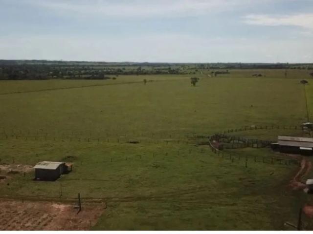 Fazenda venda em Brasnorte, Região Geográfica Intermediária de Cuiabá