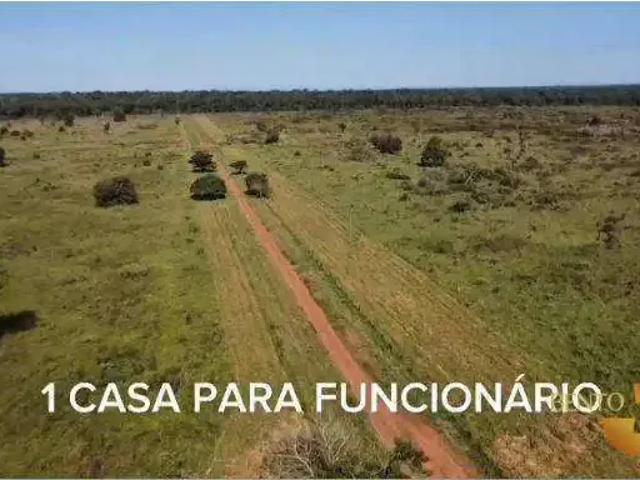 Fazenda venda em Região Geográfica Imediata de Tangará da Serra, Brasnorte