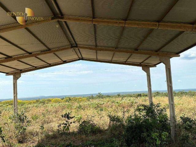Fazenda venda em Brasnorte, Região Geográfica Intermediária de Cuiabá