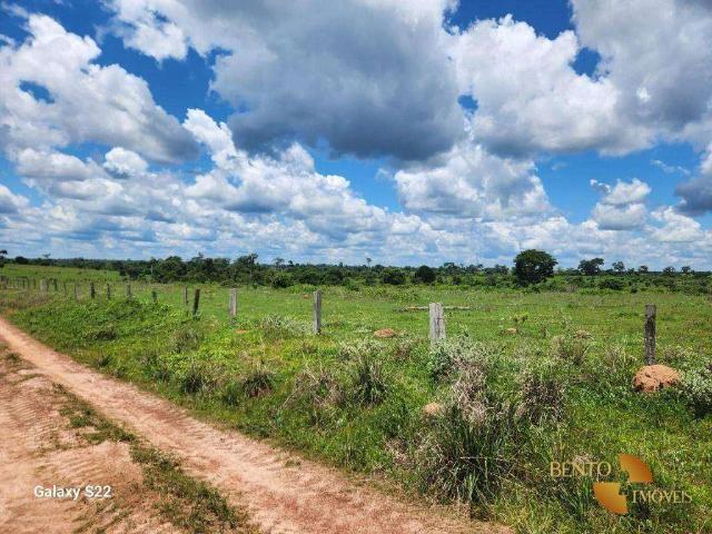 Fazenda venda em Brasnorte, Região Geográfica Intermediária de Cuiabá