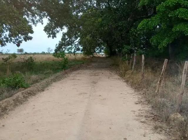 Fazenda venda em Região Geográfica Imediata de Porto Nacional, Brejinho de Nazaré