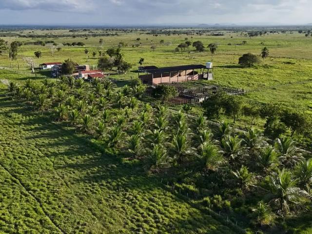 Fazenda venda em Região Geográfica Imediata de Natal, Brejinho