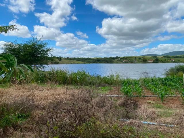 Fazenda venda em Região Geográfica Imediata de Caruaru, Brejo da Madre de deus