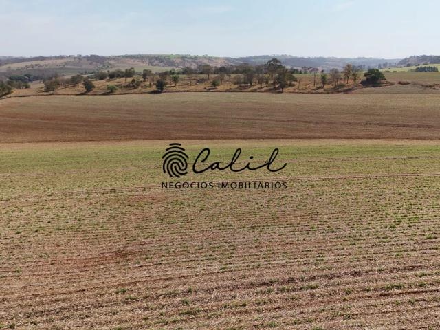 Fazenda venda em Brodowski
