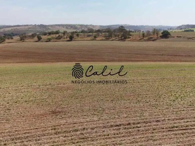 Fazenda venda em Região Imediata de Ribeirão Preto, Região Metropolitana de Ribeirão Preto