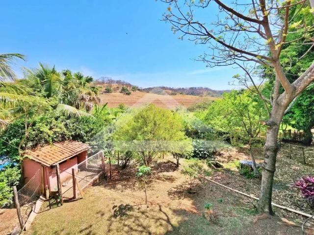 Fazenda venda em Região Imediata de Ribeirão Preto, Região Metropolitana de Ribeirão Preto