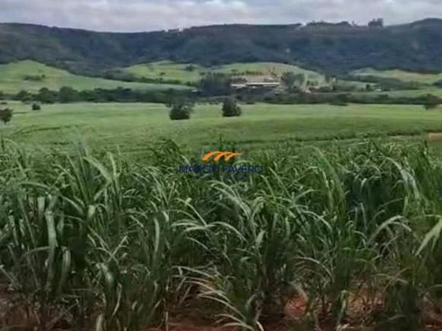 Sítio e chácara venda em Brotas