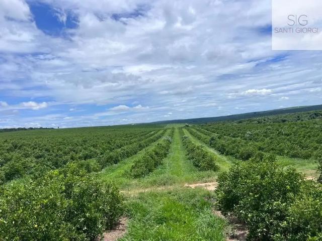Fazenda venda em Região Imediata de Jaú, Brotas