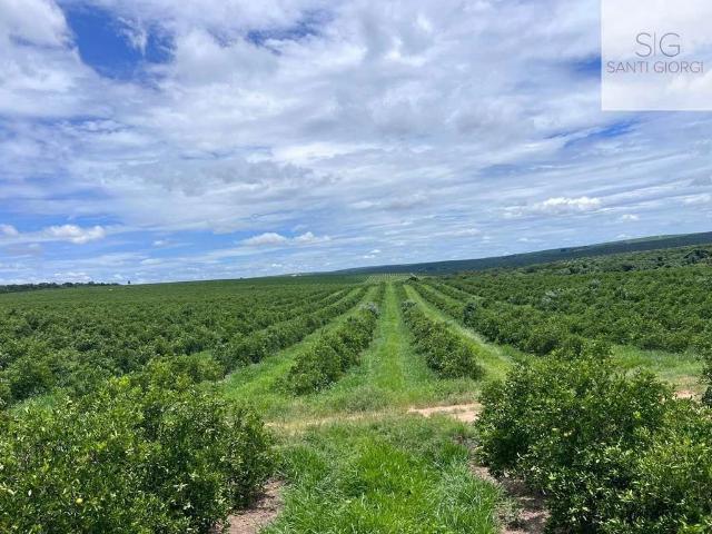 Fazenda venda em Brotas