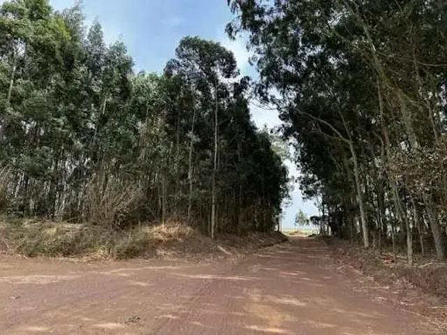 Fazenda venda em Região Imediata de Jaú, Brotas