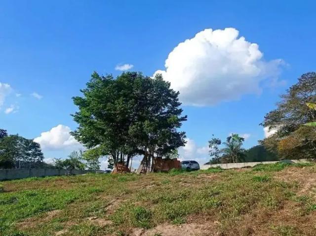 Fazenda venda em Região Geográfica Imediata de Belo Horizonte, Região Metropolitana de Belo Horizonte