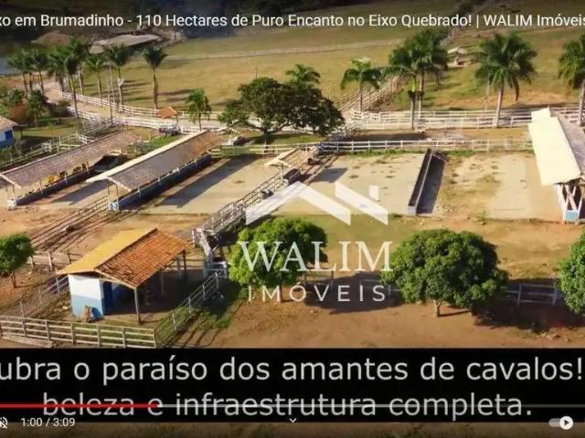 Fazenda venda em Região Geográfica Imediata de Belo Horizonte, Região Metropolitana de Belo Horizonte