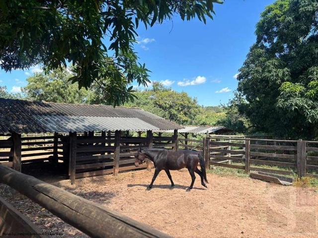 Fazenda venda em Curimataí, Buenópolis