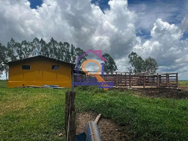 Fazenda venda em Floresta, Buenópolis