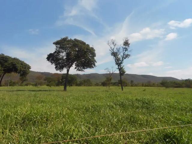 Fazenda venda em Região Geográfica Imediata de Curvelo, Buenópolis