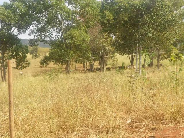 Fazenda venda em Região Geográfica Imediata de Curvelo, Buenópolis