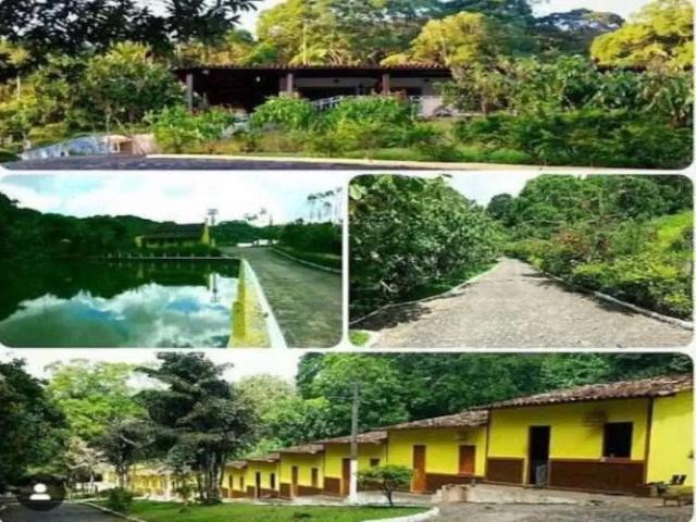 Fazenda venda em Região Geográfica Imediata de Ilhéus – Itabuna, Buerarema