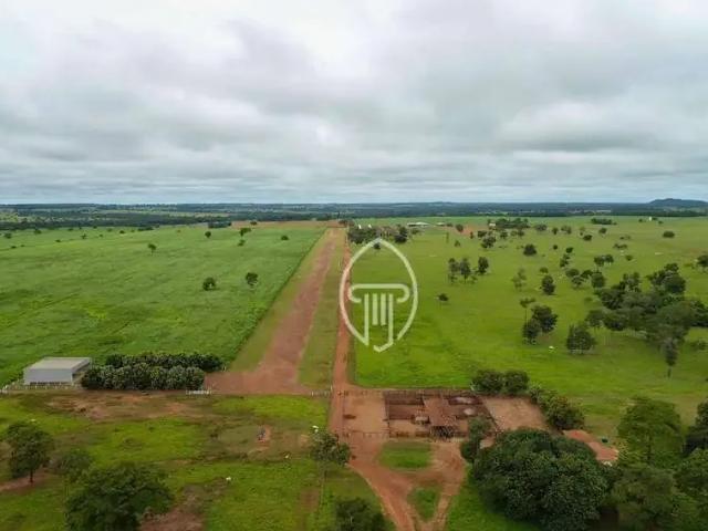 Fazenda venda em Região Geográfica Imediata de São Luís de Montes Belos, Buriti de Goiás