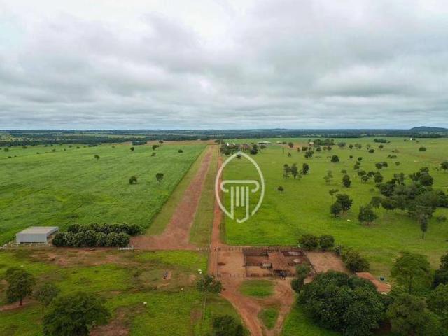 Fazenda venda em Buriti de Goiás, Região Geográfica Intermediária de São Luís de Montes Belos-Iporá