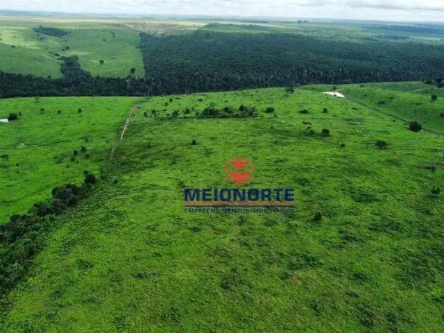 Fazenda venda em Buriticupu, Região Nordeste
