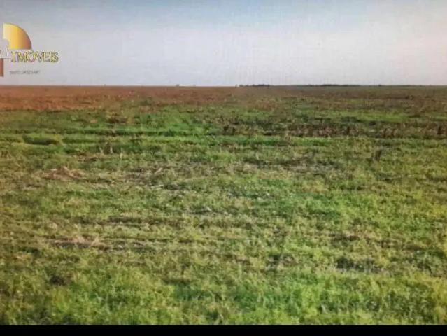 Fazenda venda em Região Geográfica Imediata de Chapadinha, Buriti