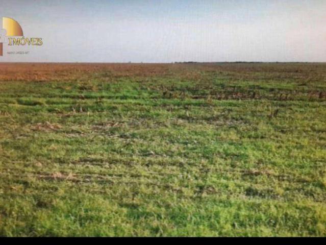 Fazenda venda em Buriti, Região Geográfica Intermediária de São Luís