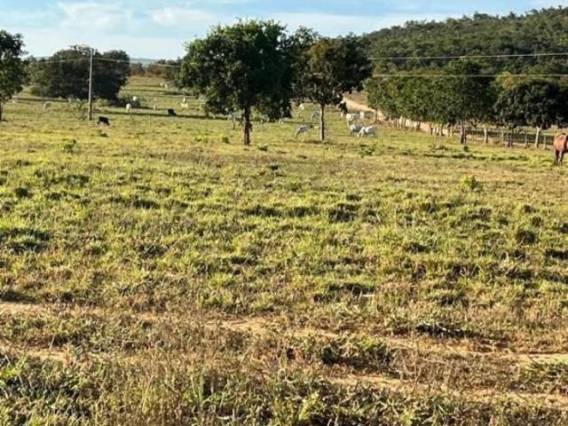 Sítio e chácara venda em Região Geográfica Imediata de Unaí, Região Integrada de Desenvolvimento do Distrito Federal e Entorno