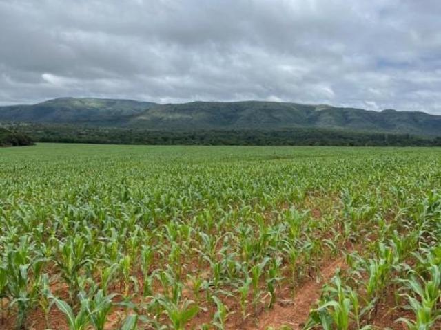 Sítio e chácara venda em Região Geográfica Imediata de Unaí, Região Integrada de Desenvolvimento do Distrito Federal e Entorno