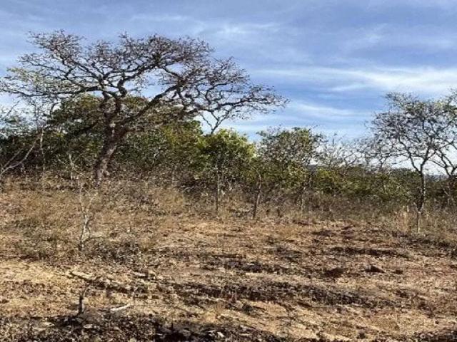 Fazenda venda em Região Geográfica Imediata de Unaí, Região Integrada de Desenvolvimento do Distrito Federal e Entorno