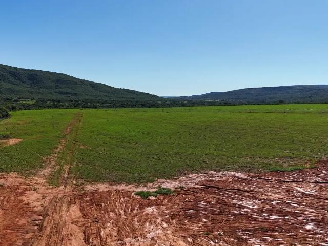 Fazenda venda em Região Geográfica Imediata de Unaí, Região Integrada de Desenvolvimento do Distrito Federal e Entorno
