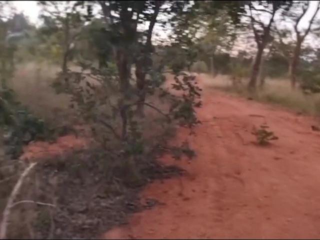 Fazenda venda em Buritis, Região Geográfica Intermediária de Patos de Minas