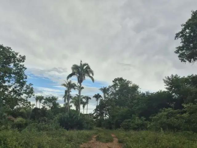 Fazenda venda em Região Geográfica Imediata de Unaí, Região Integrada de Desenvolvimento do Distrito Federal e Entorno