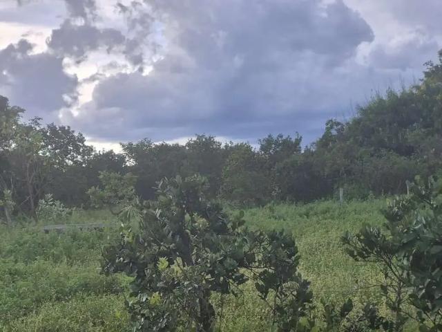Fazenda venda em Região Geográfica Imediata de Unaí, Região Integrada de Desenvolvimento do Distrito Federal e Entorno