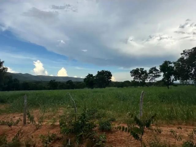 Fazenda venda em Região Geográfica Imediata de Unaí, Região Integrada de Desenvolvimento do Distrito Federal e Entorno