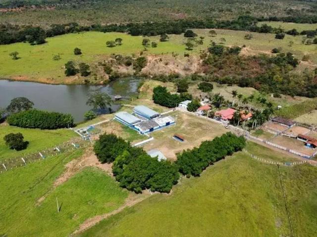 Fazenda venda em Região Geográfica Imediata de Unaí, Região Integrada de Desenvolvimento do Distrito Federal e Entorno