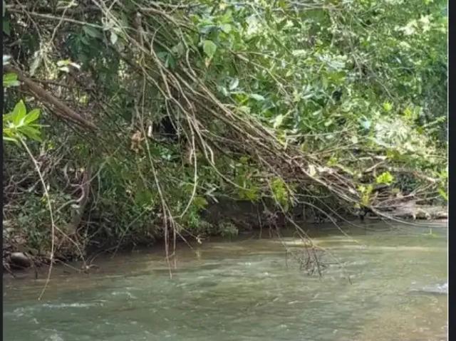 Fazenda venda em Região Geográfica Imediata de Unaí, Região Integrada de Desenvolvimento do Distrito Federal e Entorno