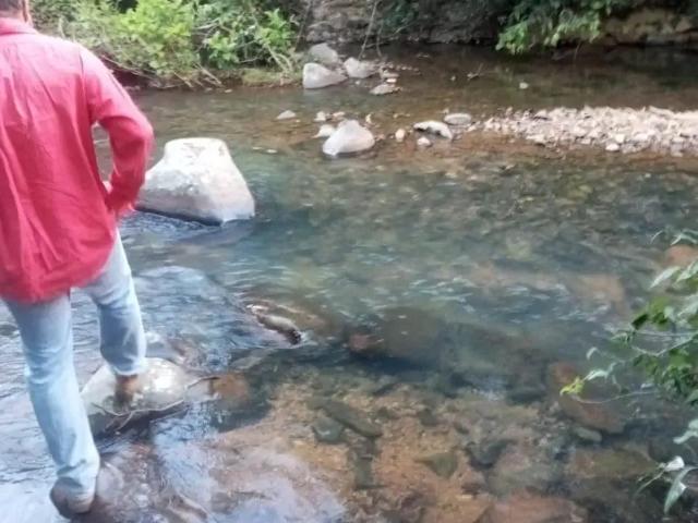 Fazenda venda em Região Geográfica Imediata de Unaí, Região Integrada de Desenvolvimento do Distrito Federal e Entorno