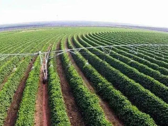 Fazenda venda em Região Geográfica Imediata de Pirapora, Buritizeiro