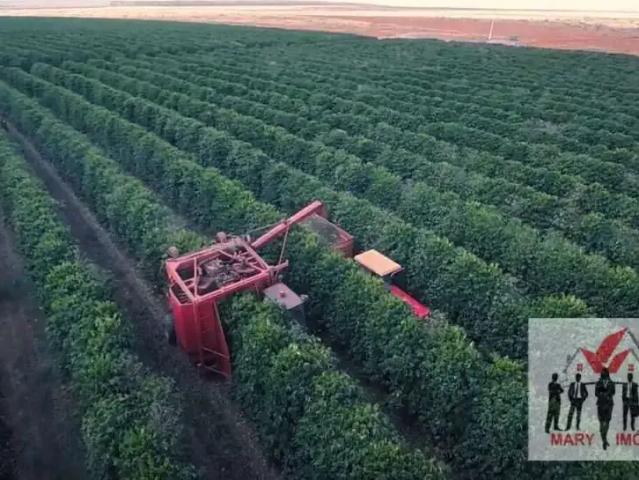 Fazenda venda em Região Geográfica Imediata de Pirapora, Buritizeiro
