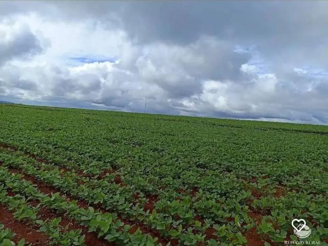 Fazenda venda em Região Geográfica Imediata de Pirapora, Buritizeiro