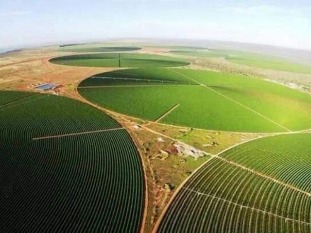 Fazenda venda em Região Geográfica Imediata de Pirapora, Buritizeiro