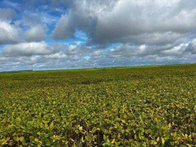 Fazenda venda em Novo Buritizeiro, Buritizeiro