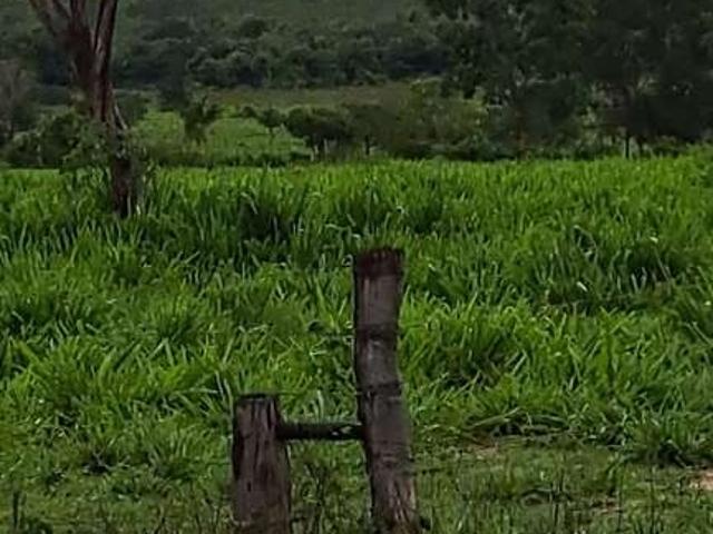 Fazenda venda em Região Geográfica Imediata de Pirapora, Buritizeiro