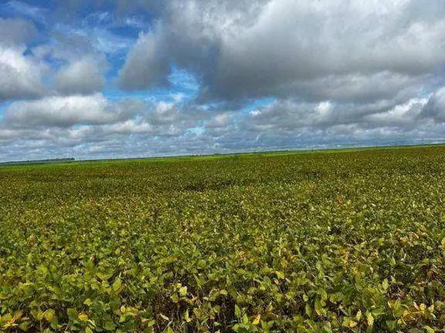 Fazenda venda em Região Geográfica Imediata de Pirapora, Buritizeiro