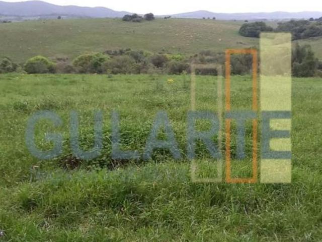 Sítio e chácara venda em Região Geográfica Imediata de São Gabriel - Caçapava do Sul, Cacapava do Sul